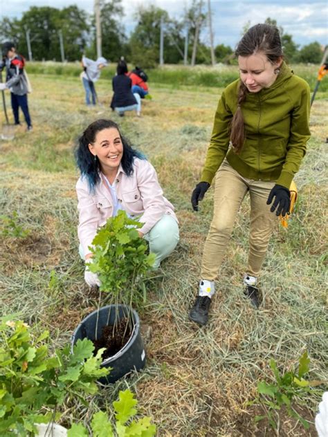 tree planting charity|Iba pa.